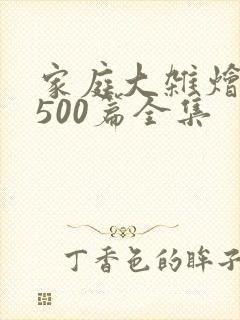 家庭大杂烩小说500篇全集