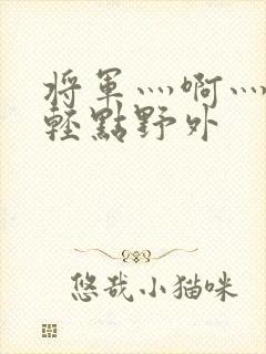 将军灬啊灬啊灬轻点野外封面