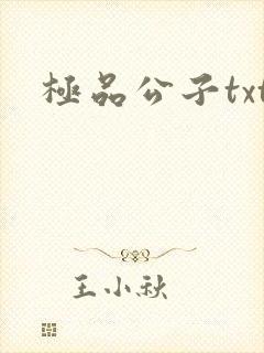 极品公子txt