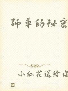 师尊的秘密封面