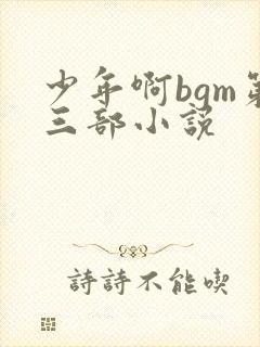 少年啊bgm第三部小说