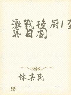 激战后厨1至5集日剧