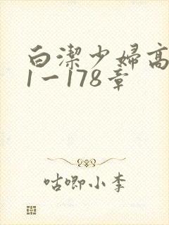 白洁少妇高义第1一178章