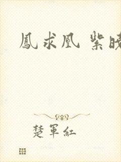 凤求凰 紫晓