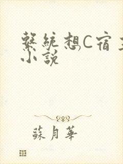 系统想C宿主的小说