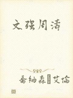 文强周涛