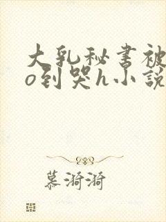 大乳秘书被cao到哭h小说封面