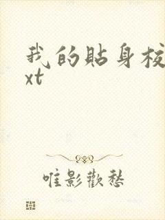 我的贴身校花txt封面