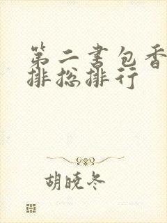第二书包香辣肉排总排行