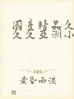 国产精品久久久久久亚洲小说封面
