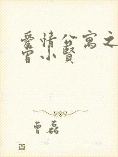 爱情公寓之极品曾小贤