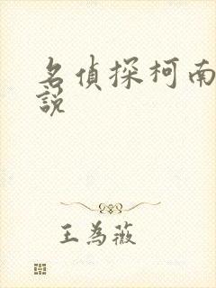 名侦探柯南h小说