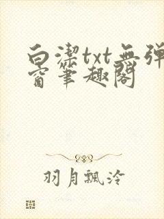 白洁txt无弹窗笔趣阁