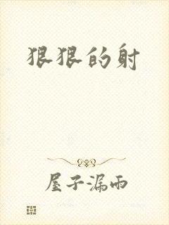 狠狠的射