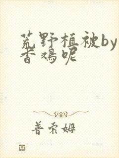 荒野植被by麦香鸡呢封面