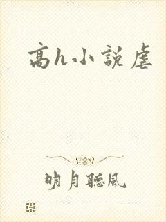 高h小说虐
