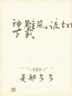 神雕风流txt下载
