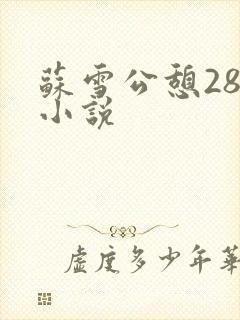苏雪公憩28篇小说
