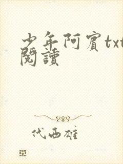 少年阿宾txt阅读