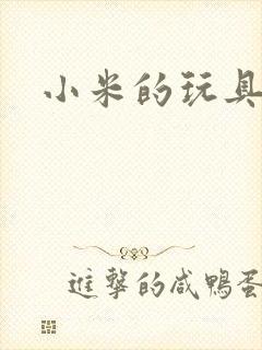 小米的玩具日记