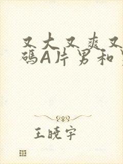 又大又爽又黄无码A片男和男