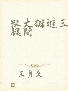 粗大挺进玉芬双腿间