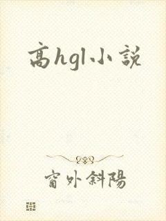 高hgl小说