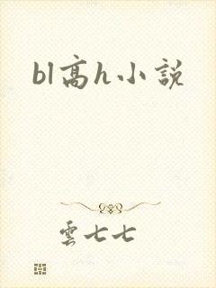 bl高h小说