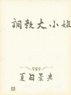 调教大小姐