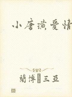 小唐璜爱情历史