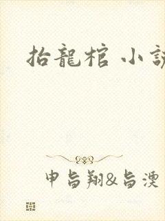 抬龙棺 小说
