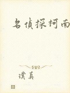名侦探柯南h