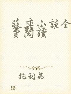 苏奕小说全文免费阅读封面