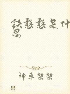 铁憨憨是什么意思封面