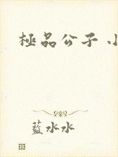 极品公子 小说