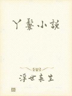 丫鬟小说