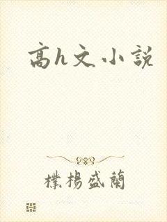 高h文小说