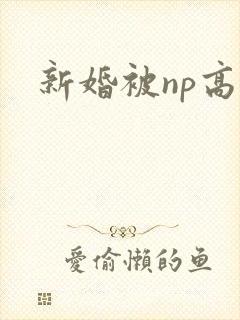 新婚被np高h封面