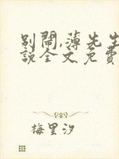 别闹,薄先生小说全文免费阅读封面