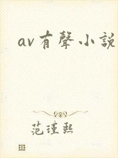 av有声小说