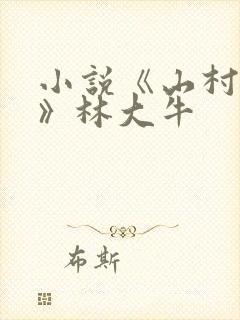 小说《山村情事》林大牛封面