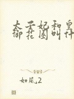 太子妃和皇帝在御花园叫什么小说