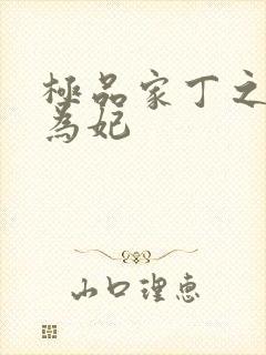 极品家丁之册母为妃