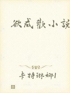 欲成欢小说