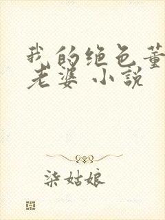 我的绝色董事长老婆 小说