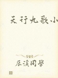 天行九歌小说