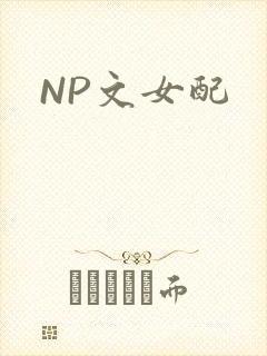 NP文女配