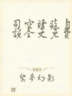司空靖苏月汐小说全文免费阅读