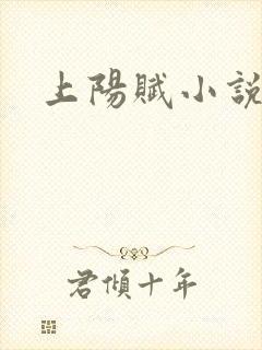 上阳赋小说