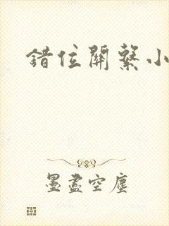 错位关系小说